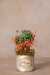 Echte getrocknete Trockenblumen | Strauß | Grün | Bouquet